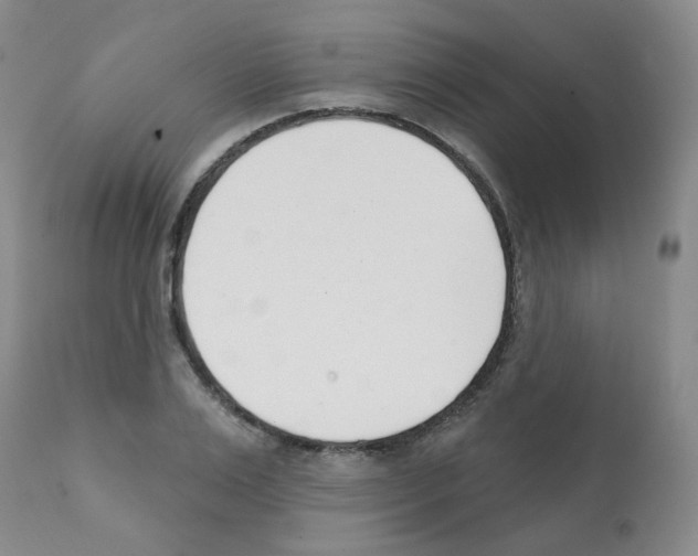 X0000112080983200909151109