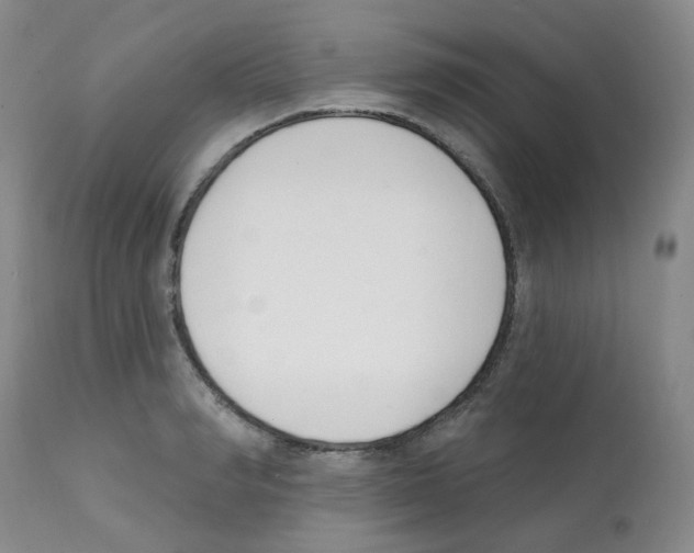 X0000112080990200909151109