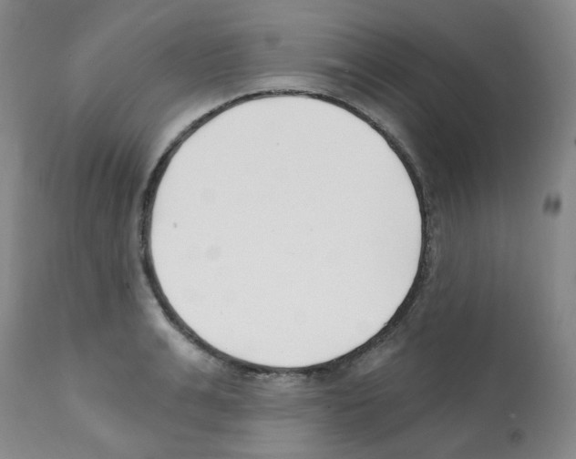 X0000112080991200909151109