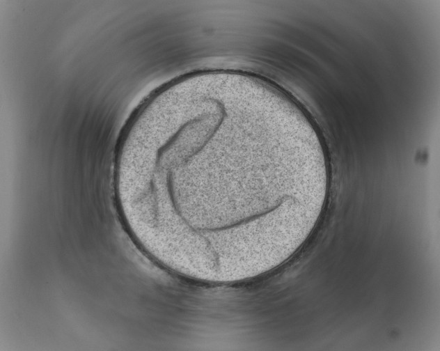 X0000112080992200909151109