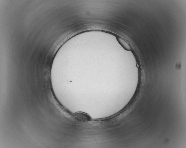 X0000112080993200909151109