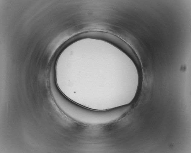 X0000112080997200909151109