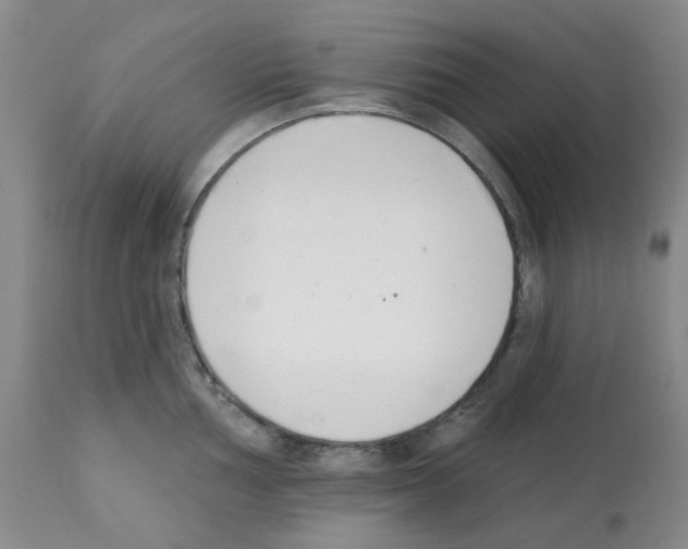 X0000112081002200909151108
