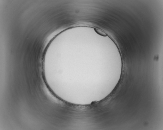 X0000112081003200909151108