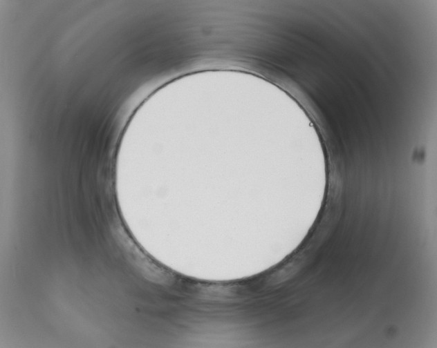 X0000112081004200909151108