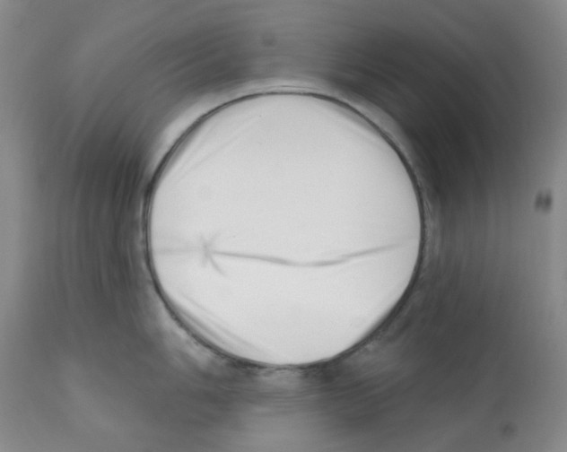 X0000112081006200909151108