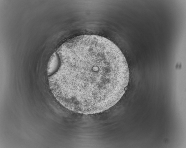 X0000112081009200909151108