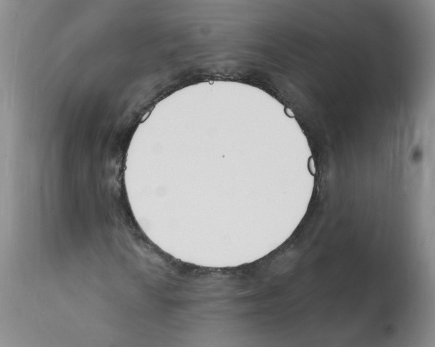 X0000112081010200909151108