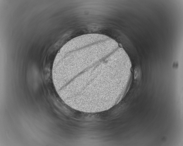 X0000112081011200909151108