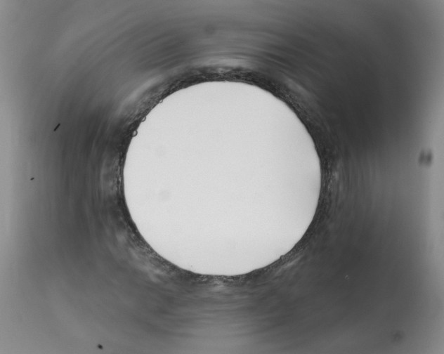 X0000112081014200909151108
