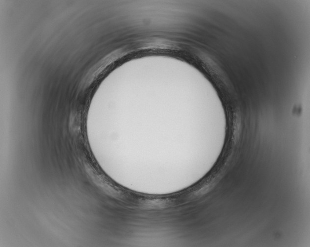 X0000112081017200909151108