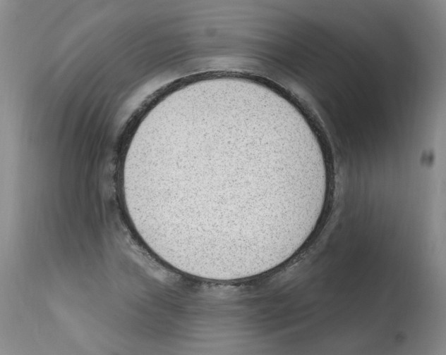 X0000112081019200909151108