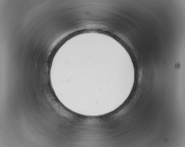 X0000112081021200909151108