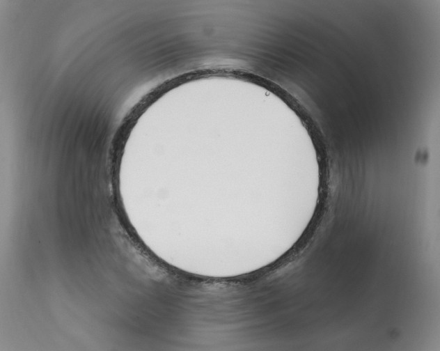 X0000112081022200909151108