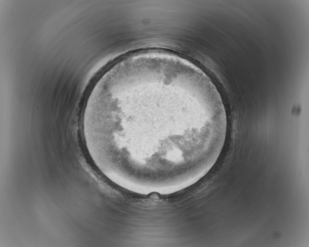 X0000112081024200909151108