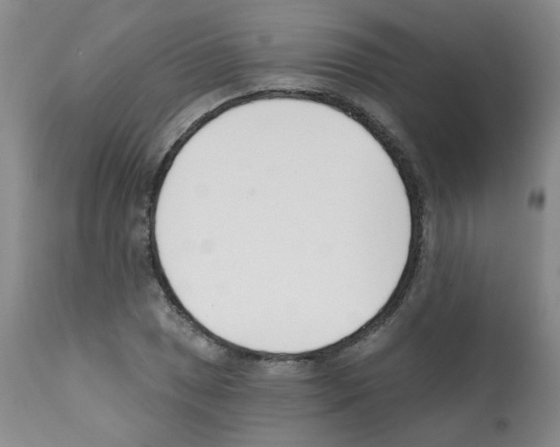 X0000112081025200909151108