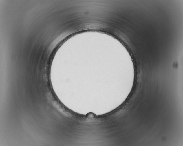 X0000112081026200909151108