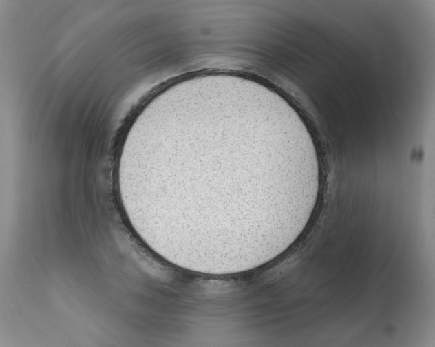X0000112081027200909151108
