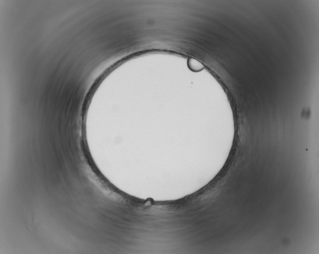 X0000112081028200909151108