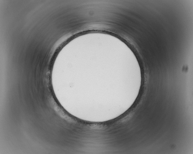 X0000112081029200909151108