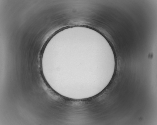 X0000112081031200909151108