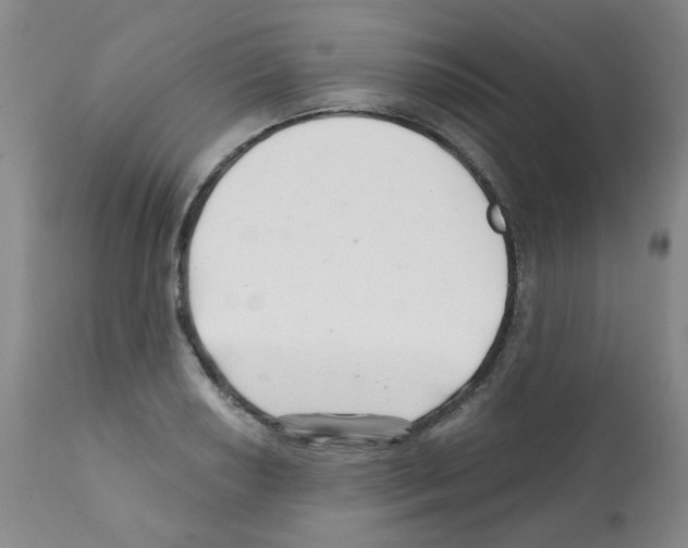 X0000112081034200909151108