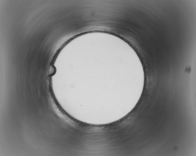 X0000112081038200909151108