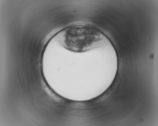 X0000112081042200909151108