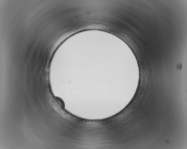 X0000112081044200909151108