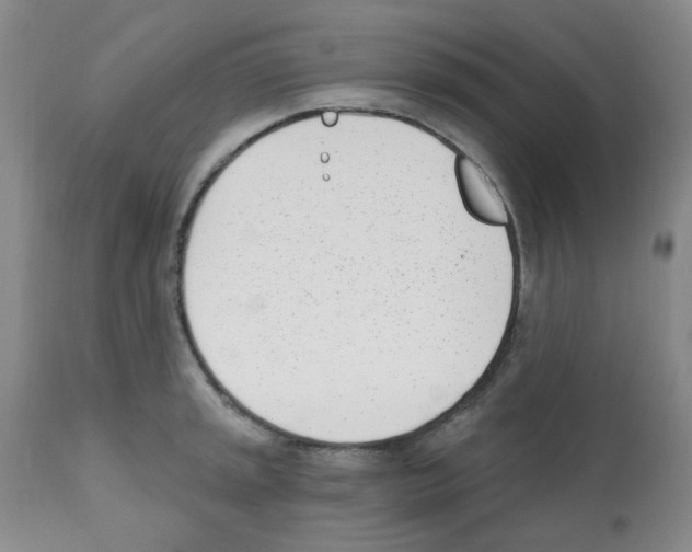 X0000112081045200909151108