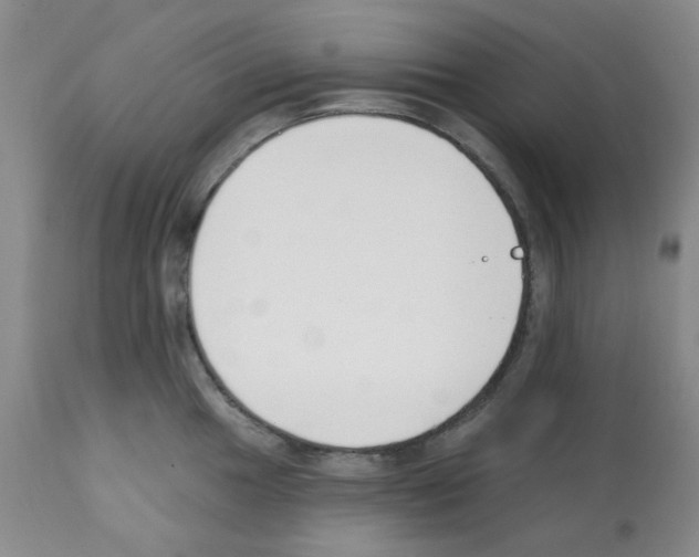 X0000112081049200909151108