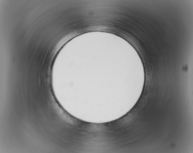 X0000112081050200909151108