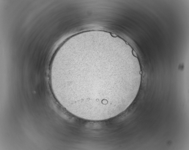 X0000112081051200909151108