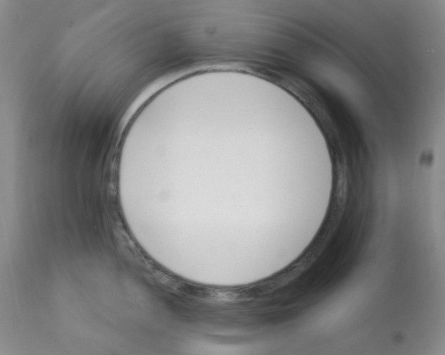 X0000112081052200909151108