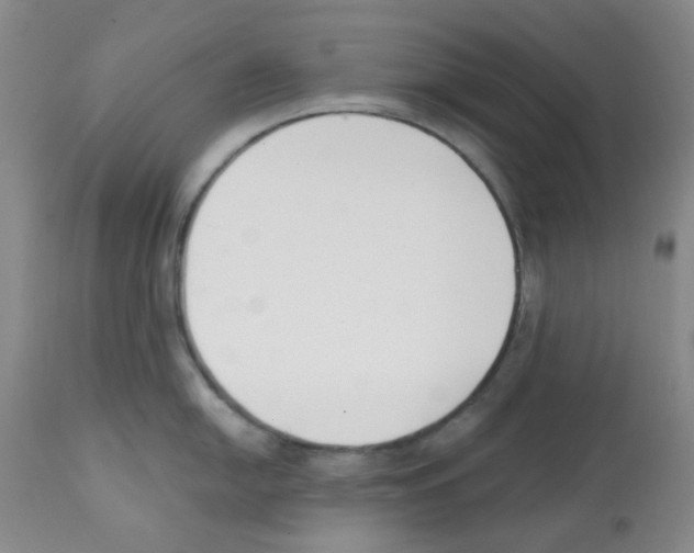 X0000112081054200909151108