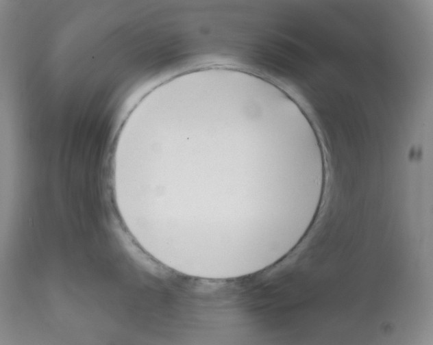 X0000112081056200909151108