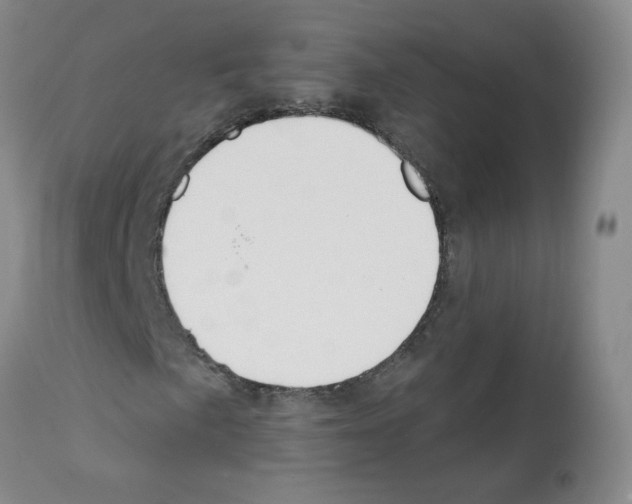 X0000112081057200909151108
