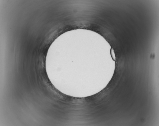 X0000112081058200909151107