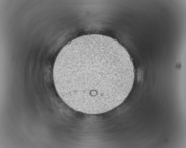 X0000112081059200909151107