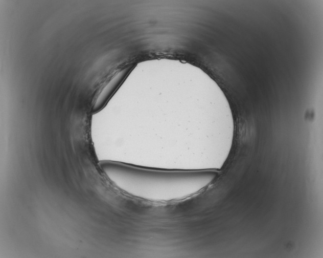 X0000112081060200909151107