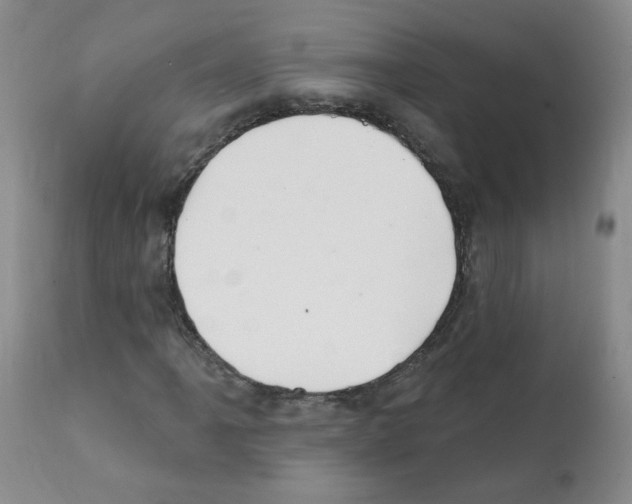 X0000112081061200909151107