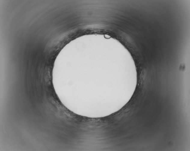 X0000112081062200909151107