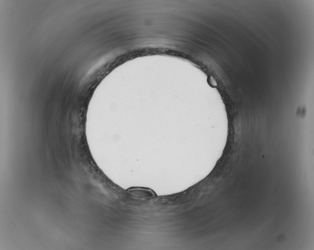 X0000112081064200909151107