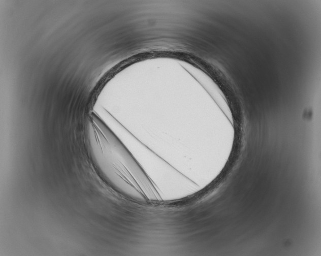 X0000112081065200909151107