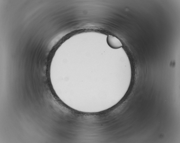 X0000112081066200909151107