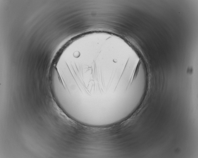 X0000112081068200909151107