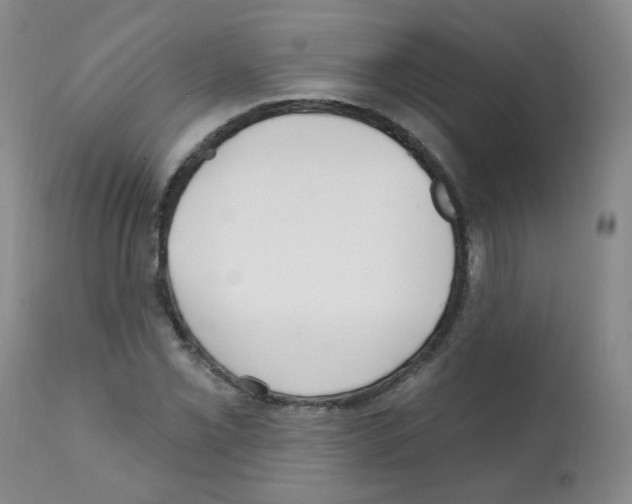 X0000112081069200909151107
