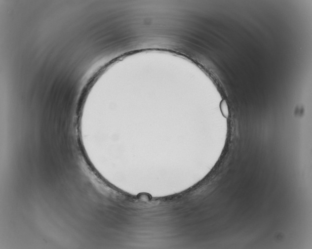 X0000112081072200909151107