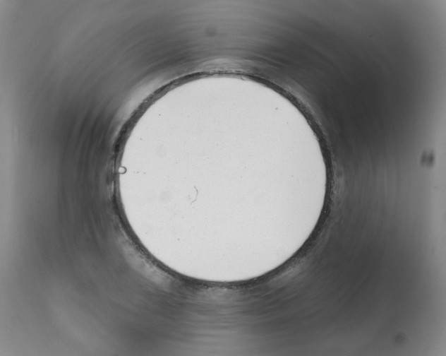 X0000112081075200909151107