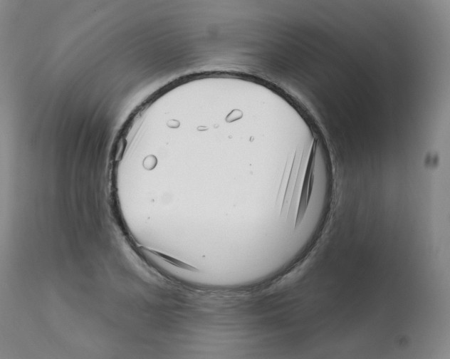 X0000112081077200909151107
